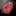 Shane Fuckign Dies